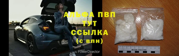 стаф Верхний Тагил
