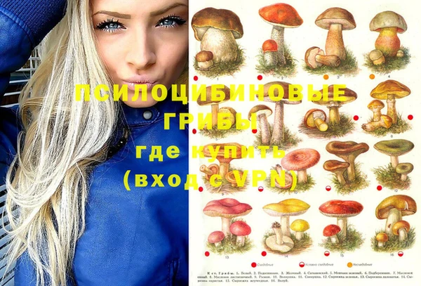 стаф Верхний Тагил