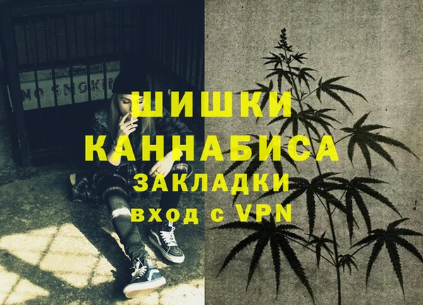 apvp Верея