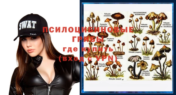стаф Верхний Тагил