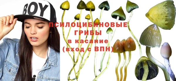 стаф Верхний Тагил